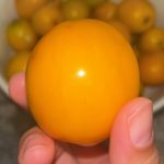 Frutas y circulación: alimentos que pueden apoyar la salud de tus piernas