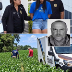 MUJER APARECE DETENIDA EN BRASIL MIENTRAS LA POLICÍA INVESTIGA UN TERRENO AGRÍCOLA: LAS IMÁGENES QUE GENERAN CONMOCIÓN