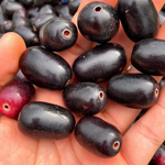 Próstata agrandada: alimentos, semillas y hábitos que pueden apoyar una vida saludable